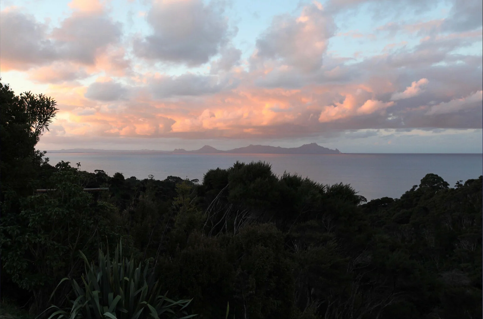pukeruru view.jpg