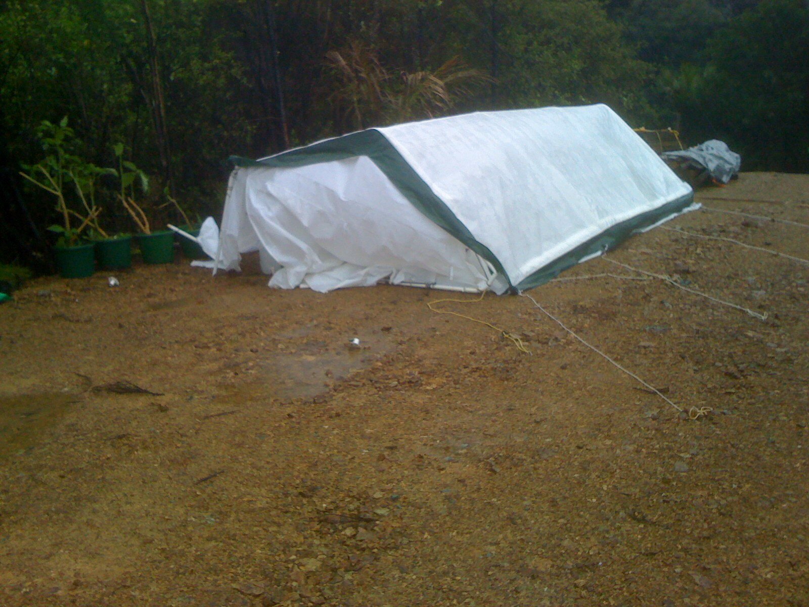First shelter, a $100 car cover