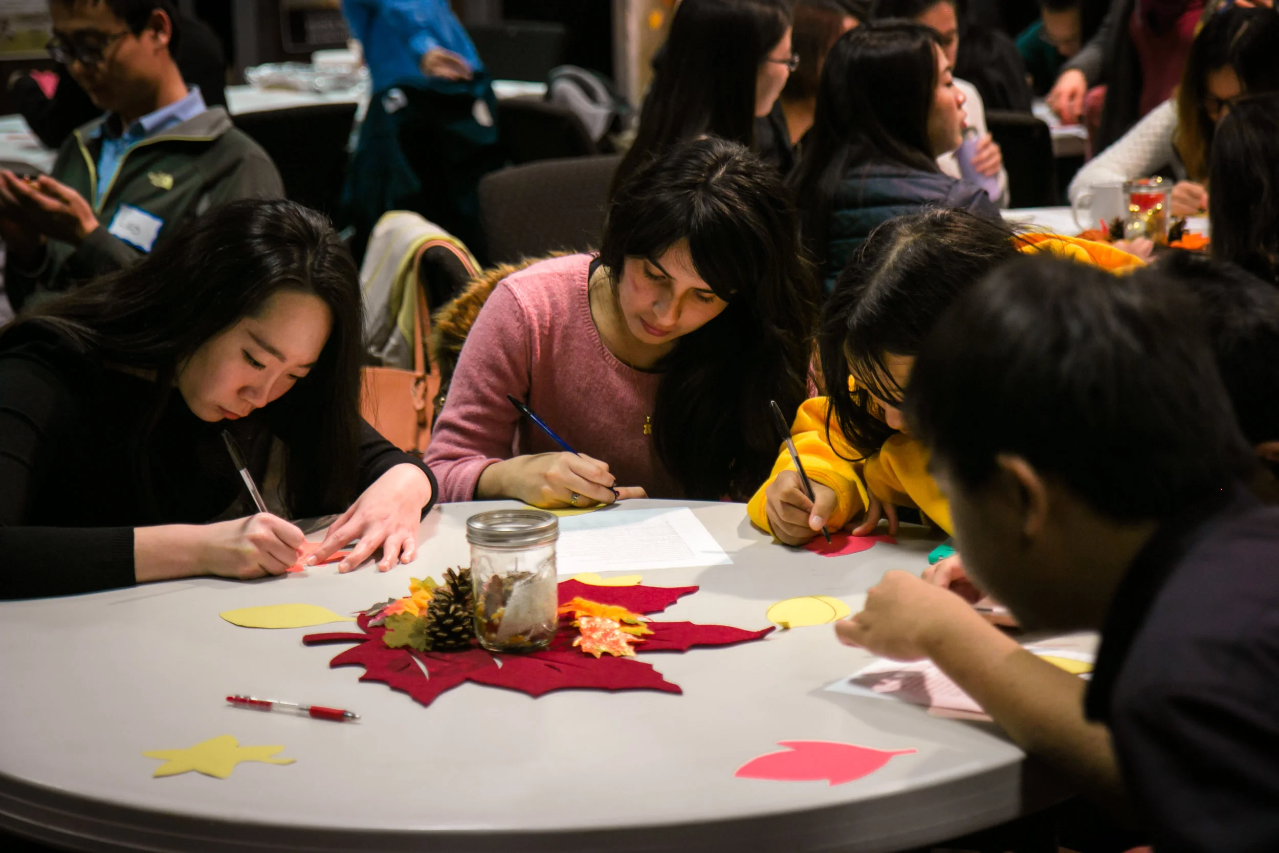 20161120-IGSM_TC-0789.jpg