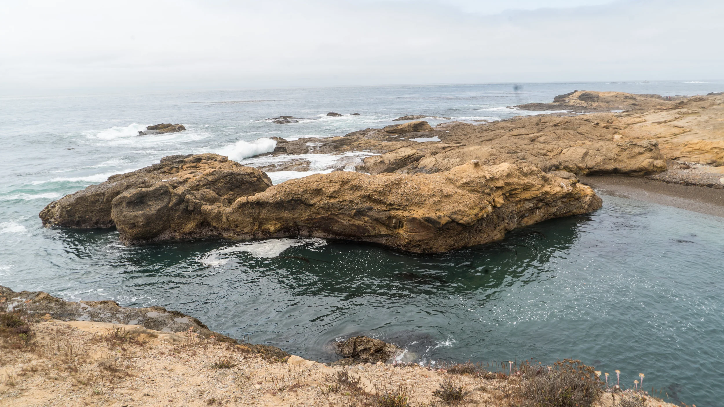 2017-09-09_IGSM_Monterey_Trip_DSC06817.jpg