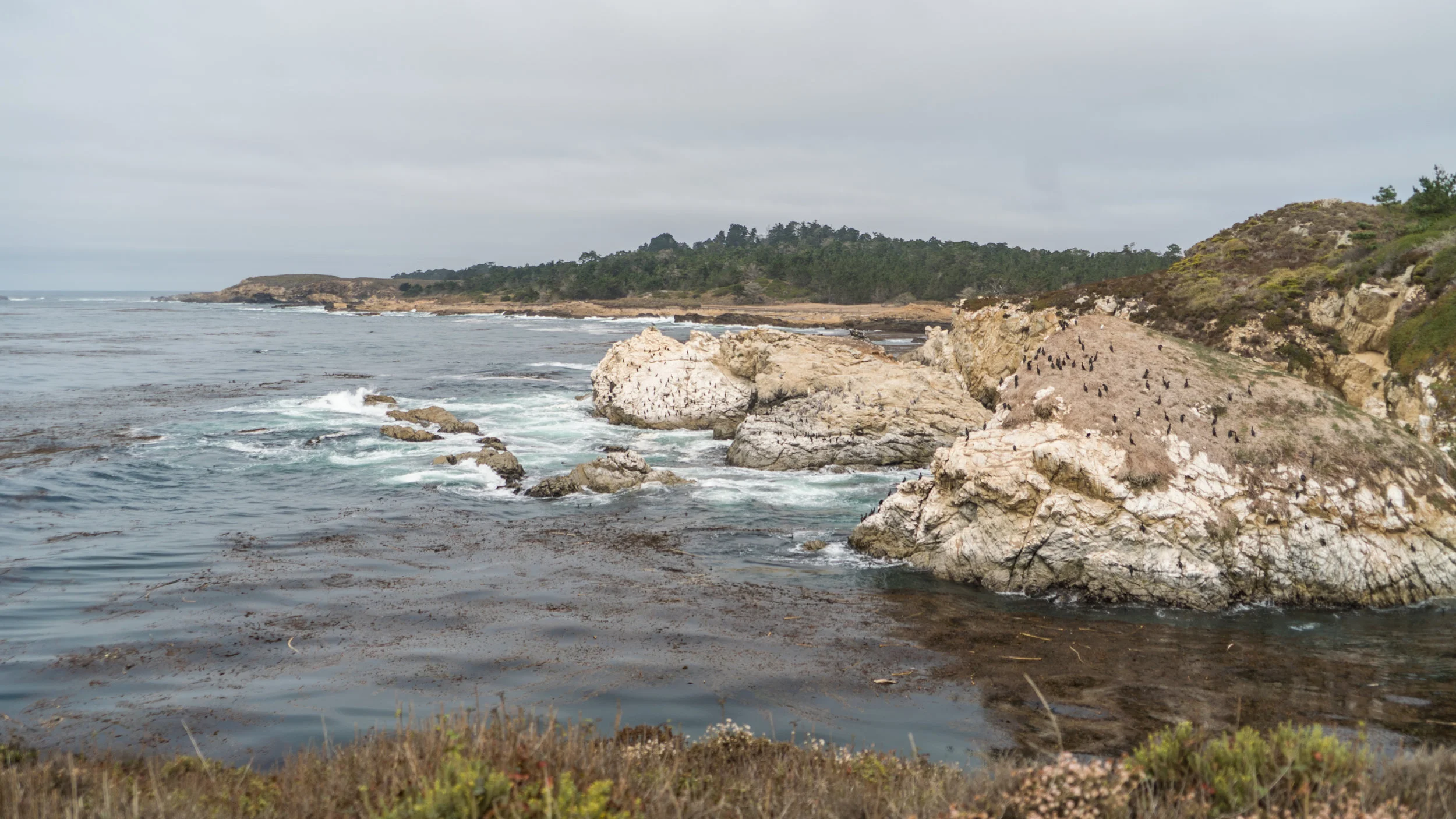 2017-09-09_IGSM_Monterey_Trip_DSC06861.jpg