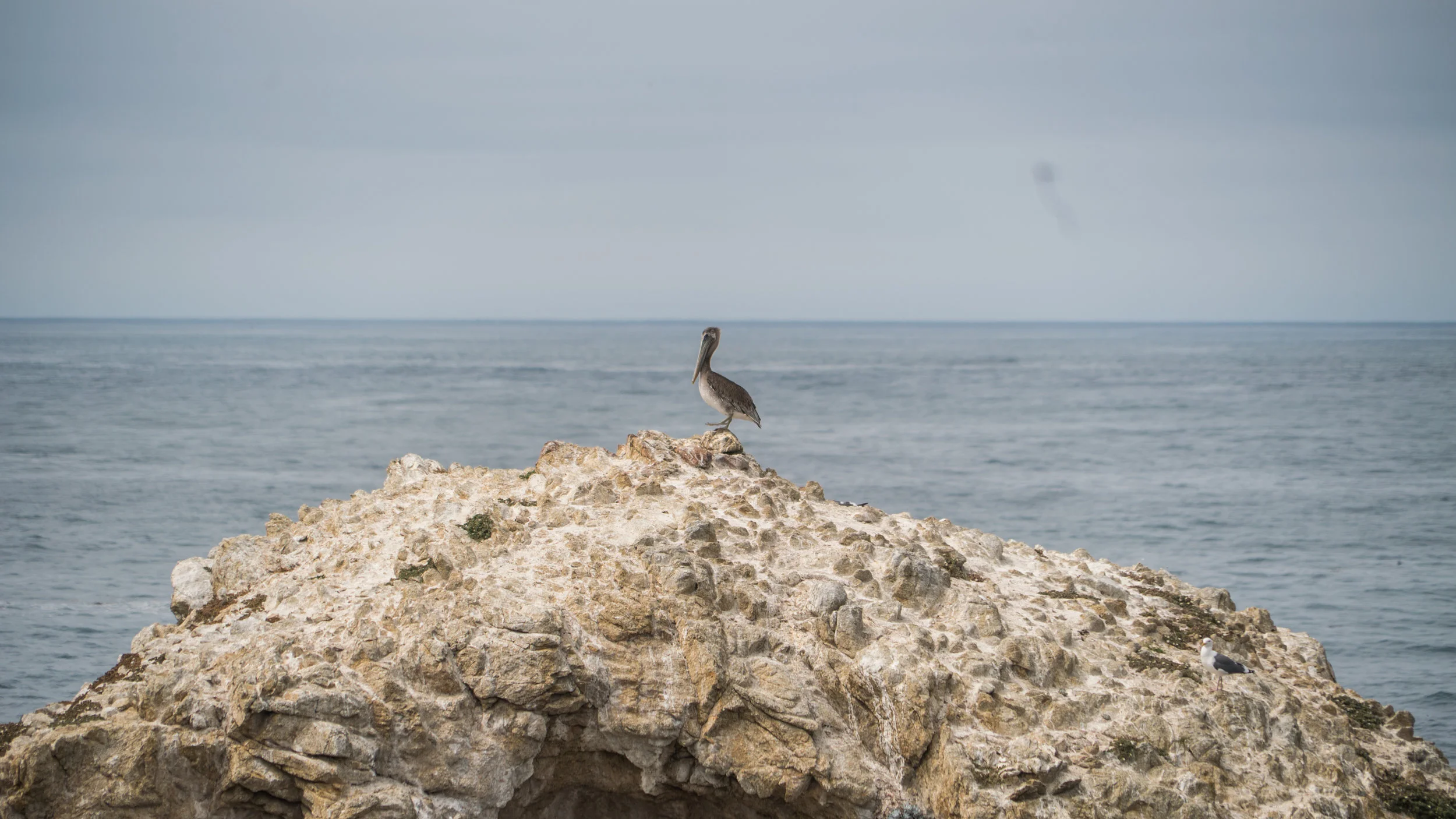 2017-09-09_IGSM_Monterey_Trip_DSC06865.jpg