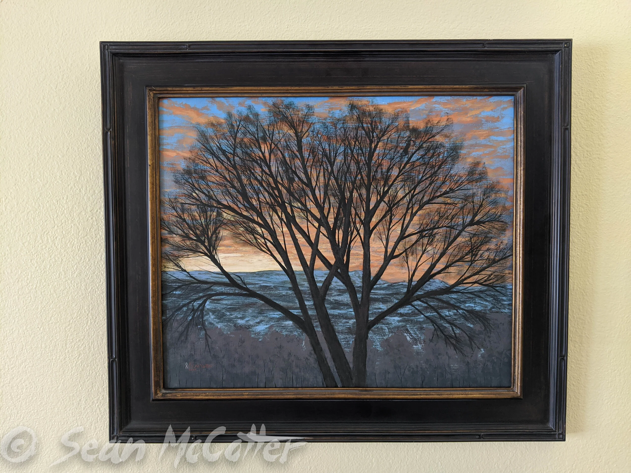 A View through a Tree.jpg