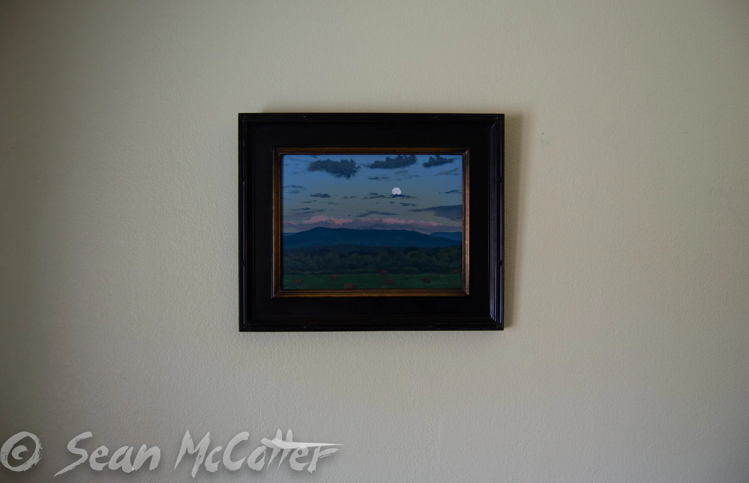 Summer Evening moon_.jpg
