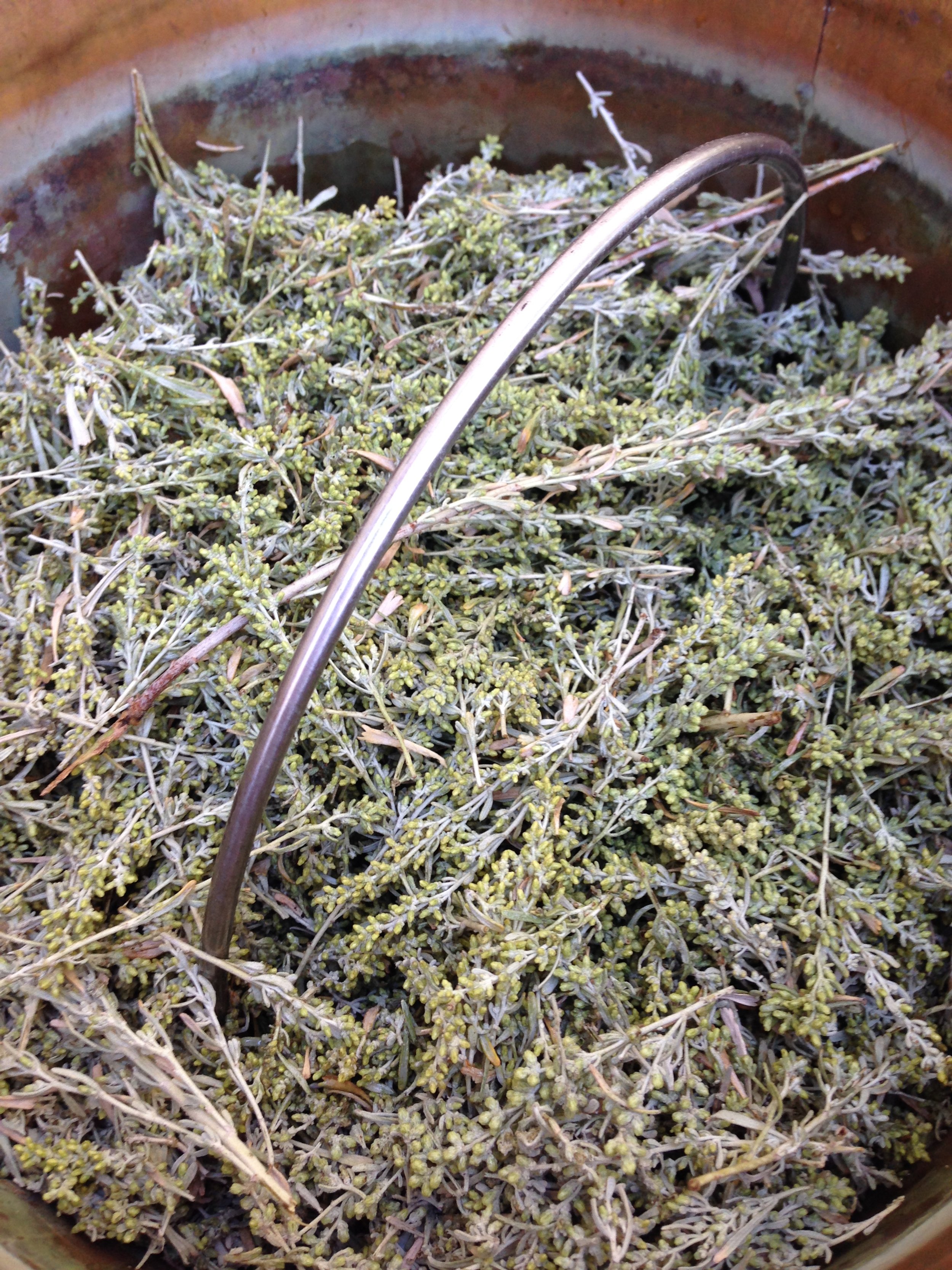 Sagebrush.jpeg