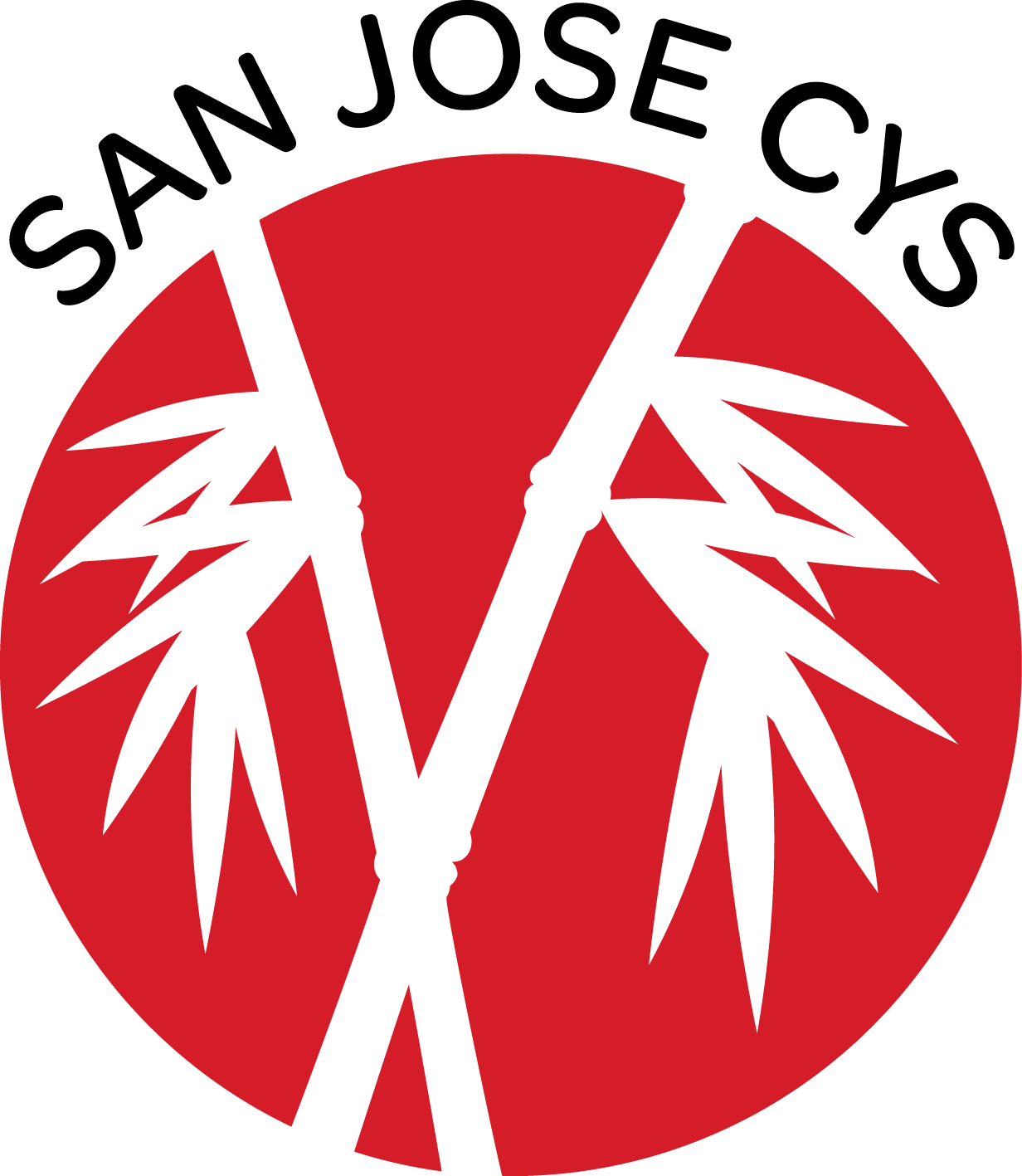 cys-final.png