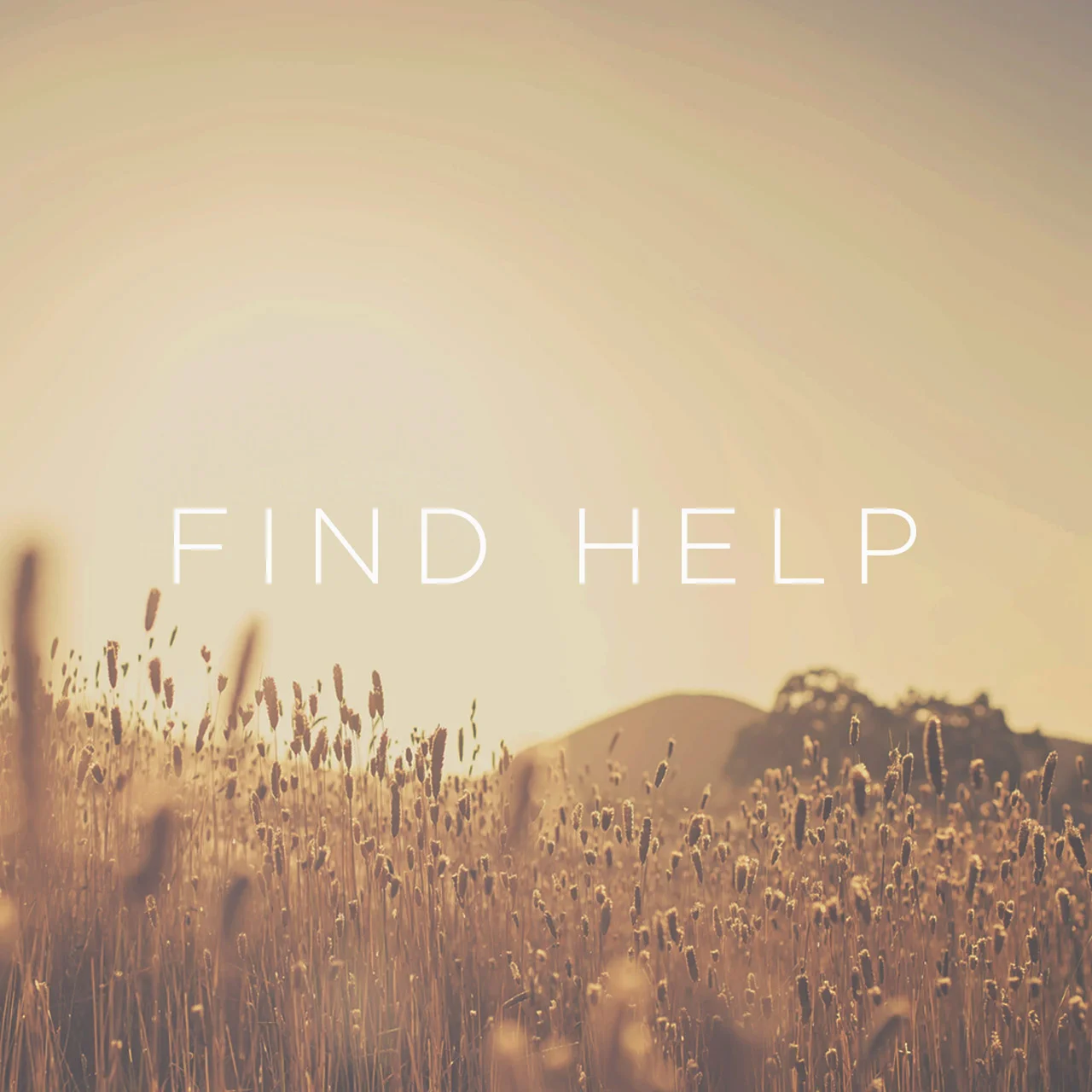 FindHelp3.jpg