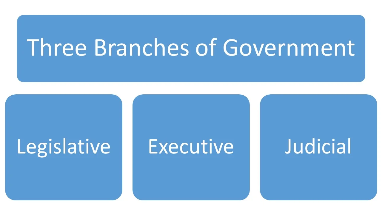 3 branches.jpg