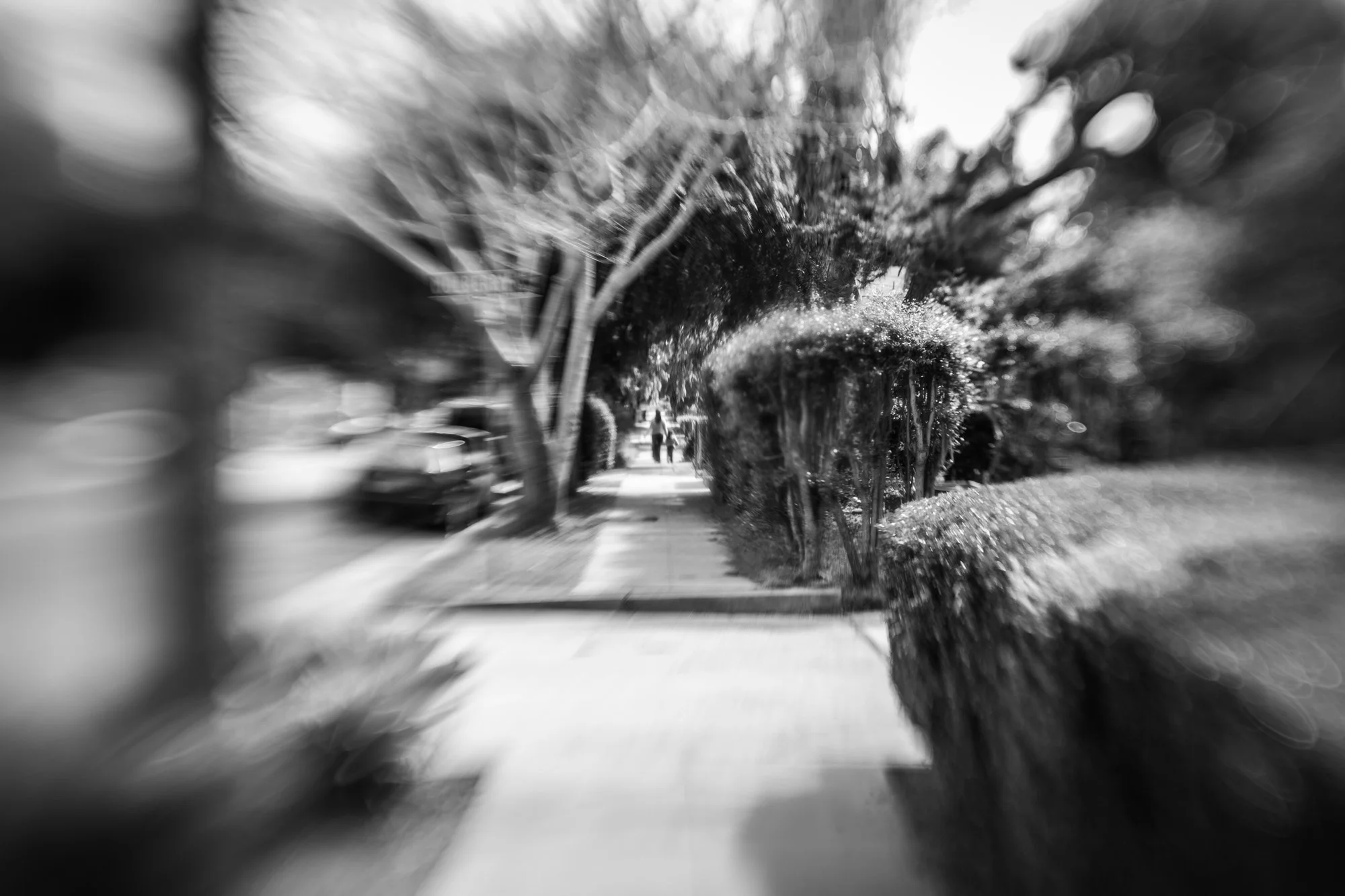 joshua_shelly_westside_santa_barbara_11.jpg