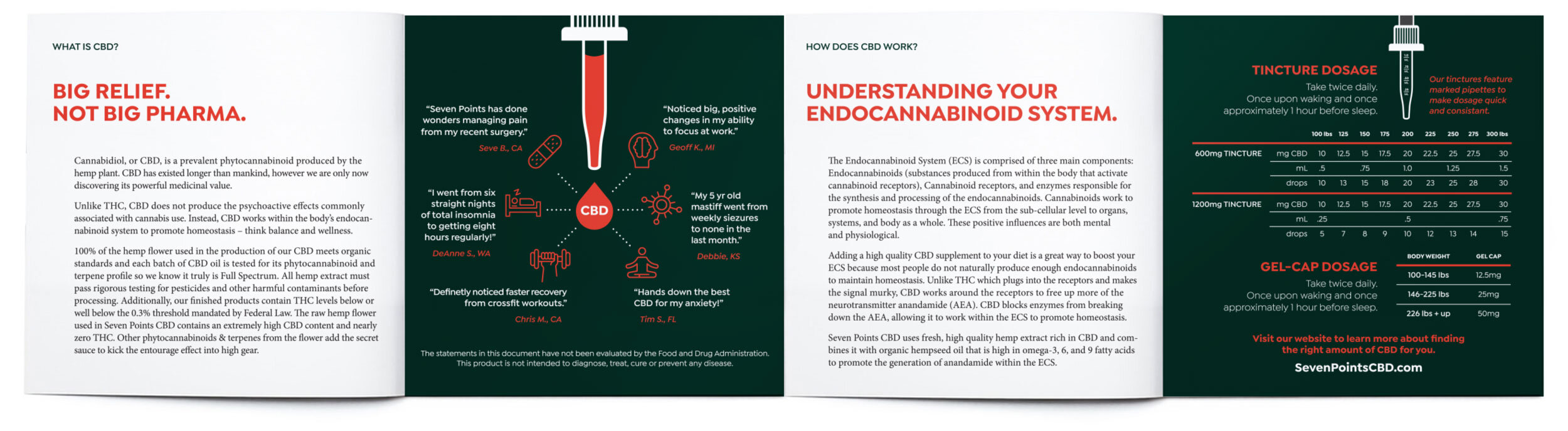 brochure-open.jpg