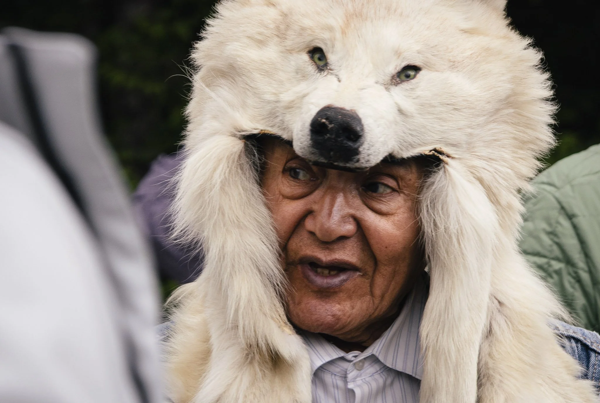 ALASKA: GLACIERS &amp; MOUNTAINS