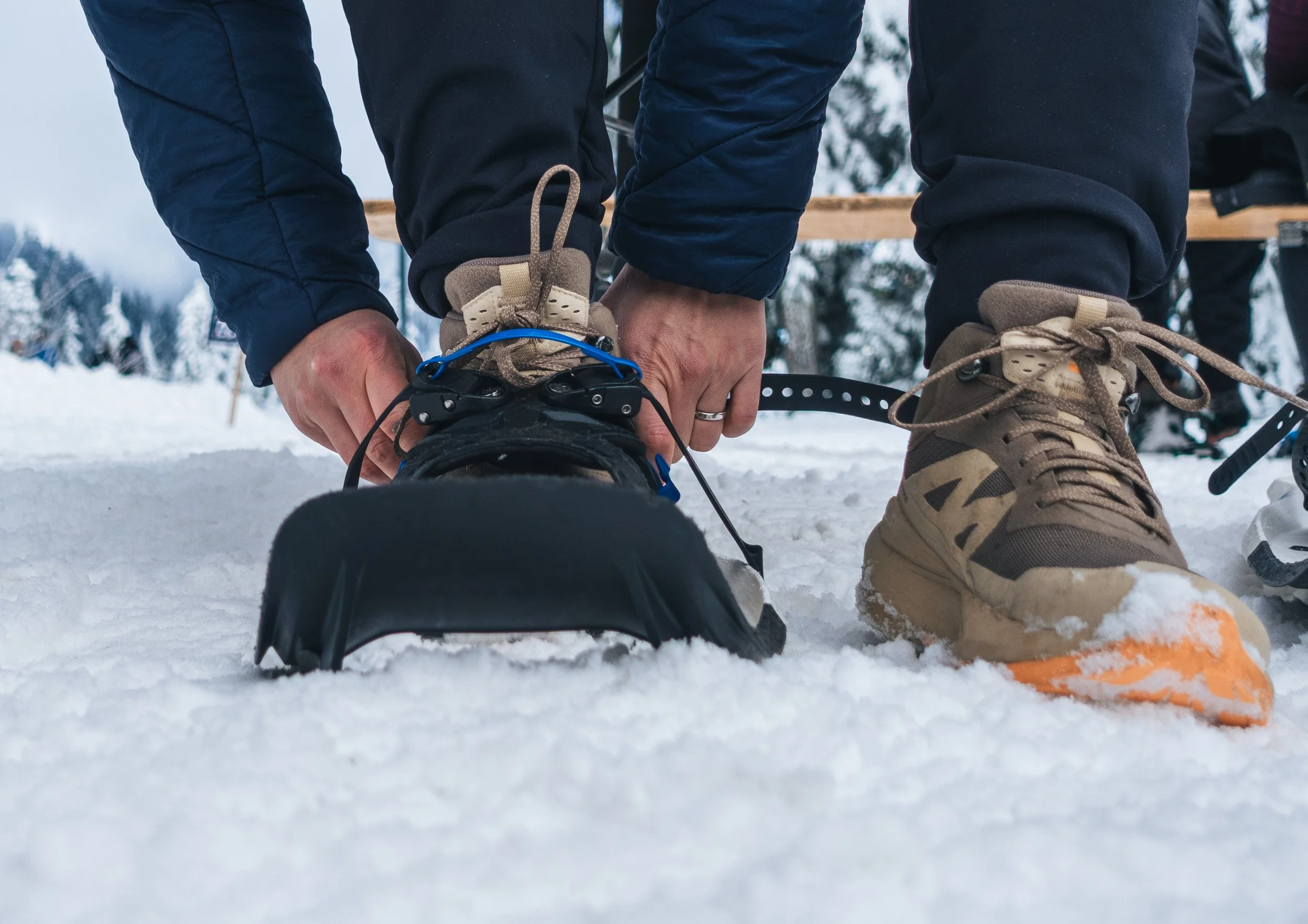 SNOWSHOEING IN VANCOUVER