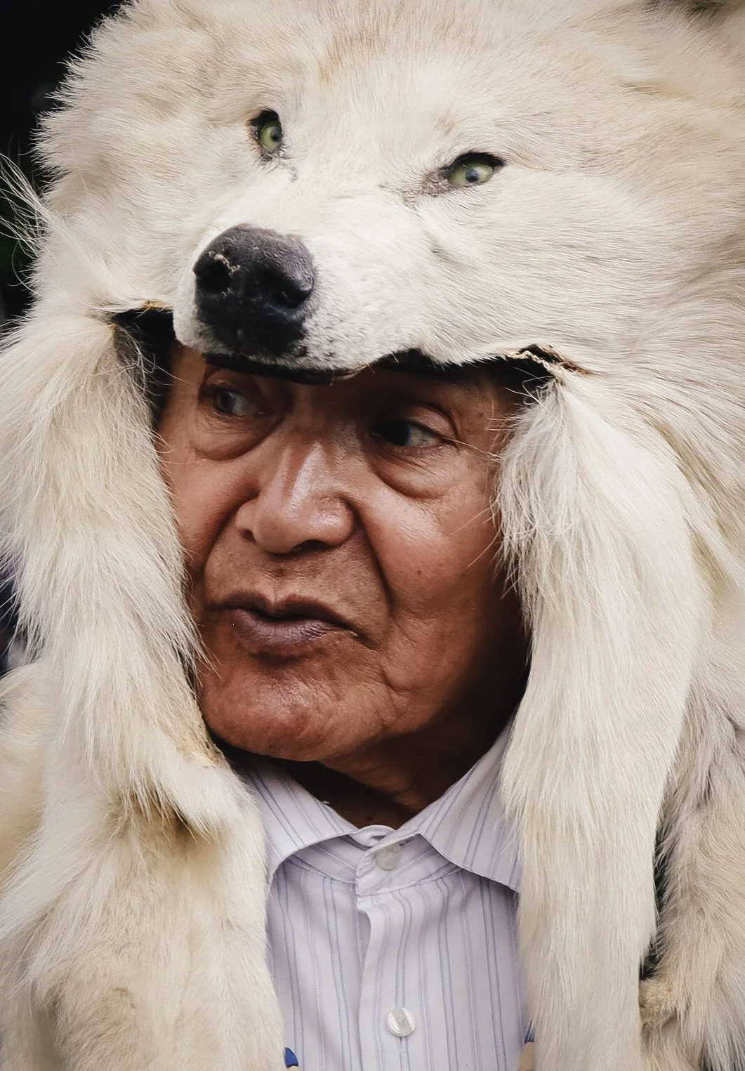 native alaskan wearing white wolf head dress