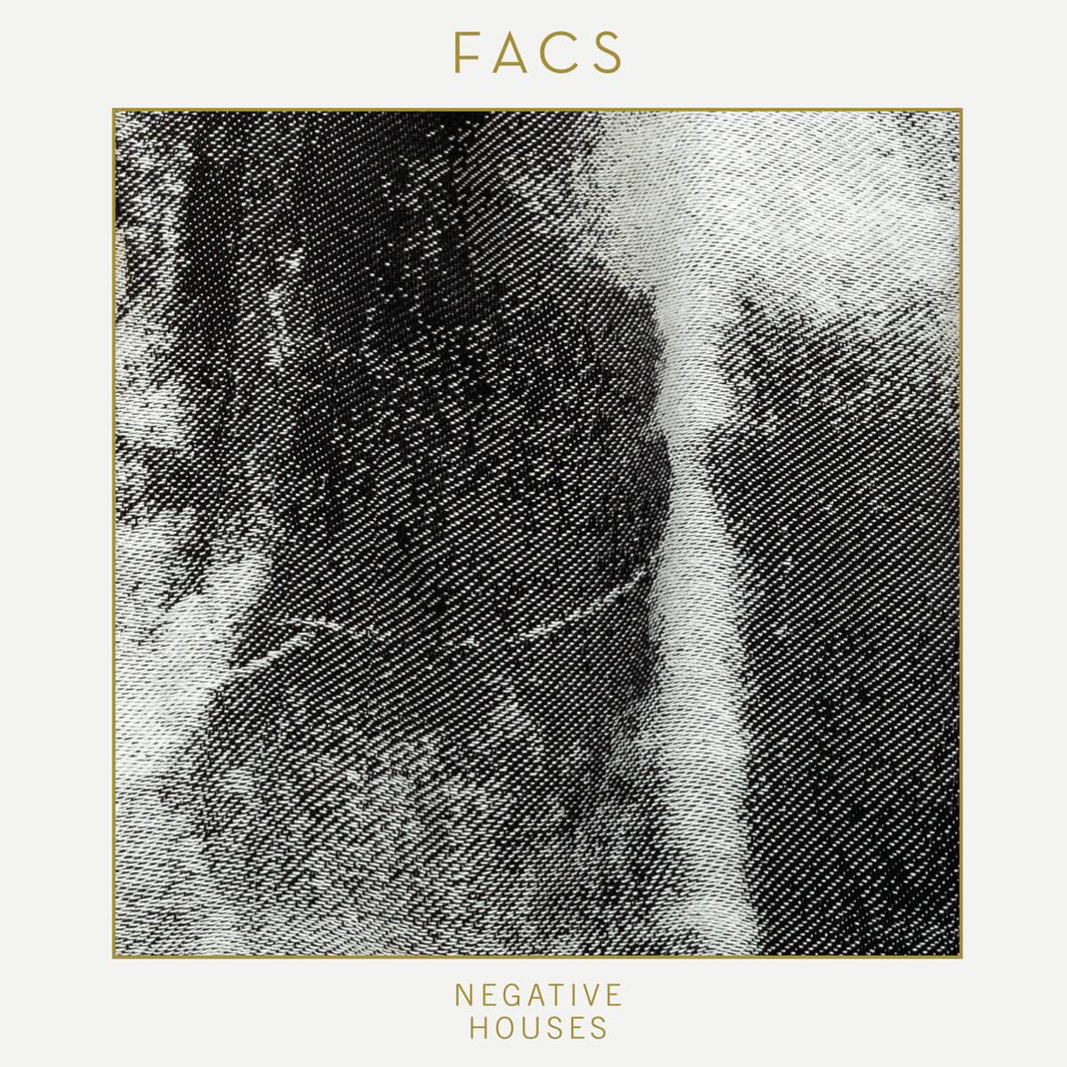 FACS — Negative Houses