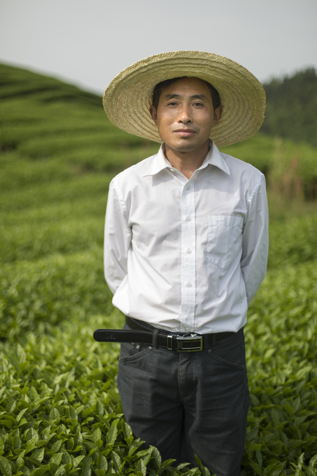  Fair Trade Tea farmer in Jiangxi, China 