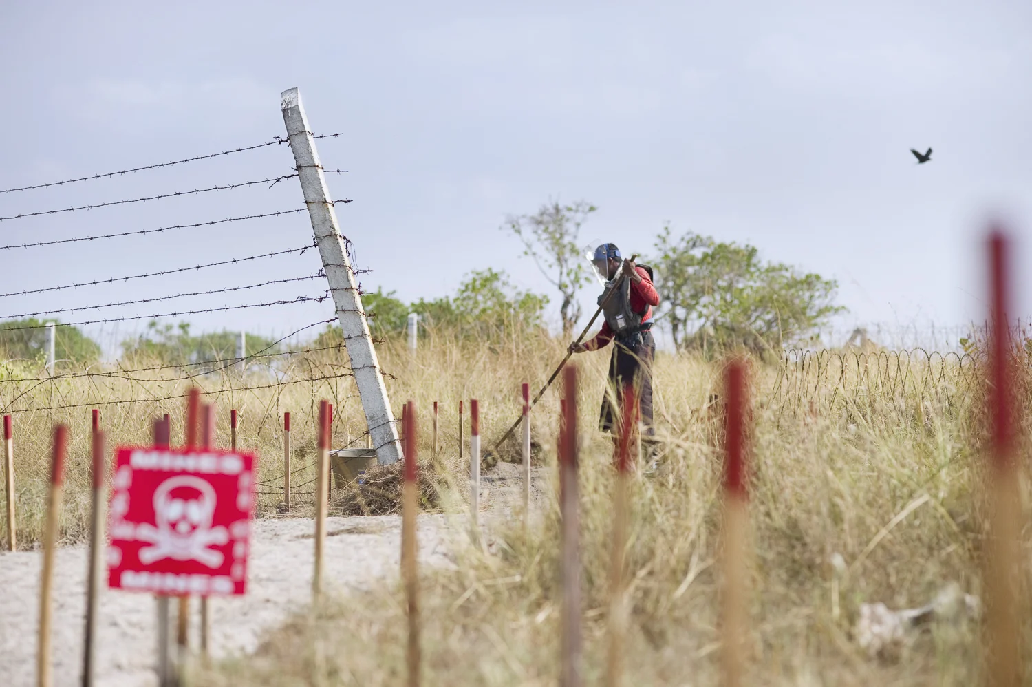 Mine clearance on Mandaithivu island, Northern Sri Lanka.