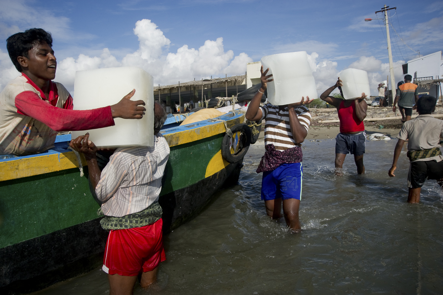   Fishermen at Tharavaikullam, a fishing harbor near Tuticorin, one of the largest sea ports on the Palk strait, preparing ice for a fishing haul. The Gulf of Mannar is one of the most ecologically diverse marine areas of India's coast, yet without r