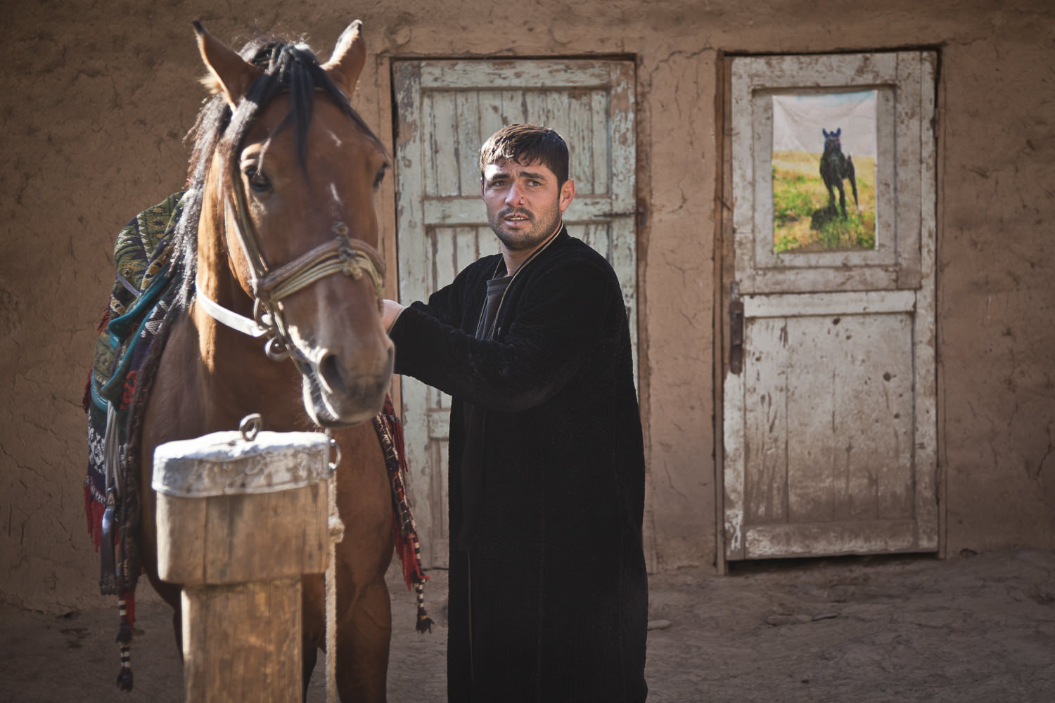  Khurshed prepares his horse for daily exercises in the mountains near his home in Dushanbe, Tajikistan's capital. 