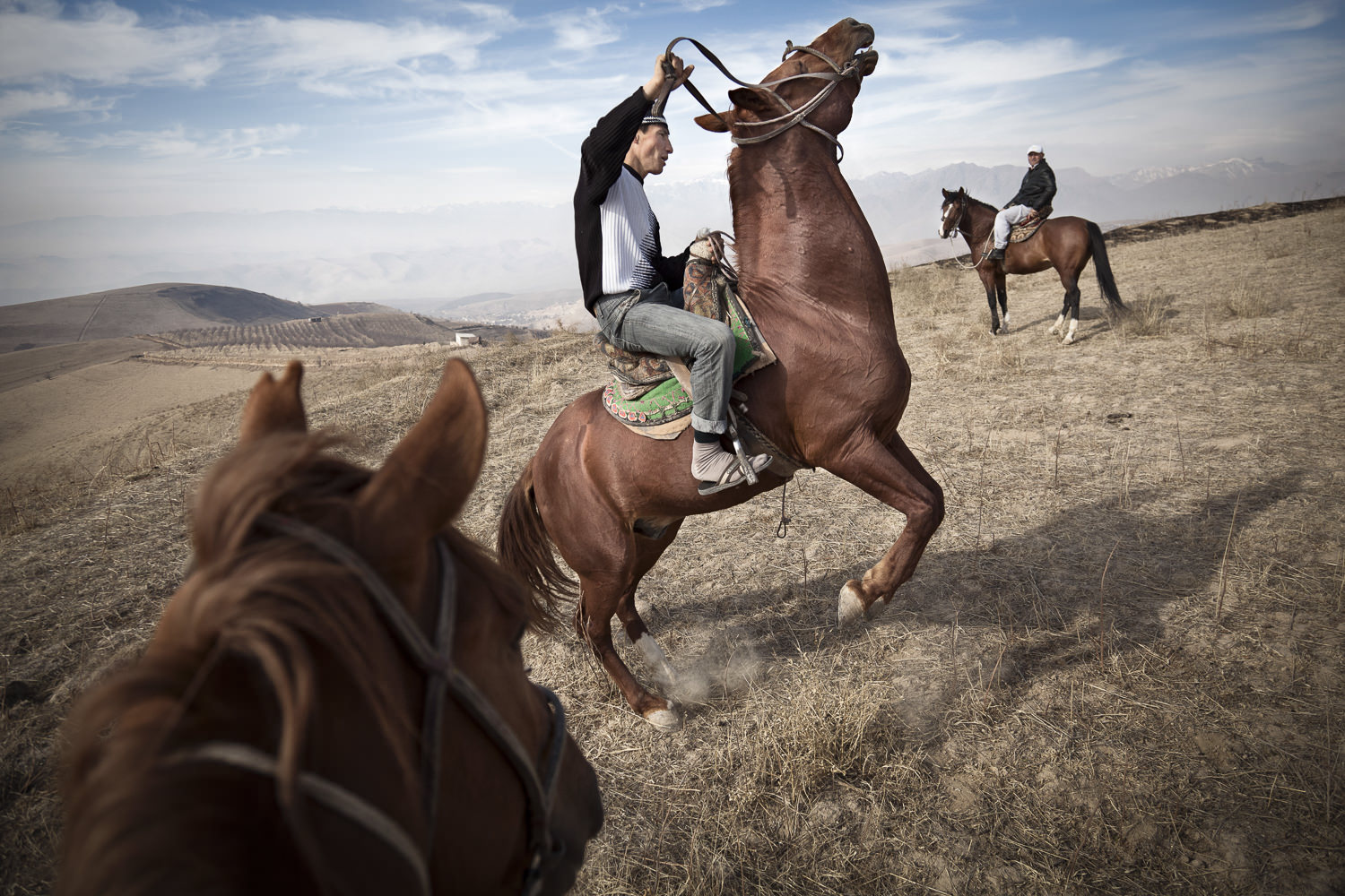  Suhrob, one of five sons in a family of professional buzkashi players exercises his horses in the mountains near Dushanbe. 