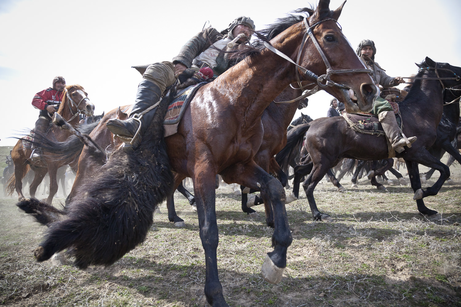  A buzkashi rider escapes from rivals with the prize goat carcass. 