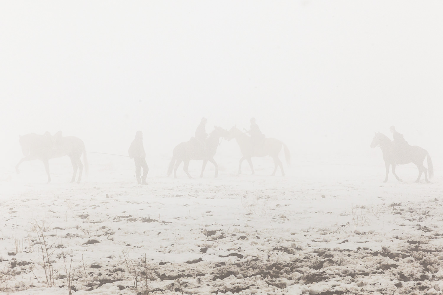  Buzkashi trainee riders exercise backup horses in the fog during a snowy match in Jirganak, Tajikistan. 