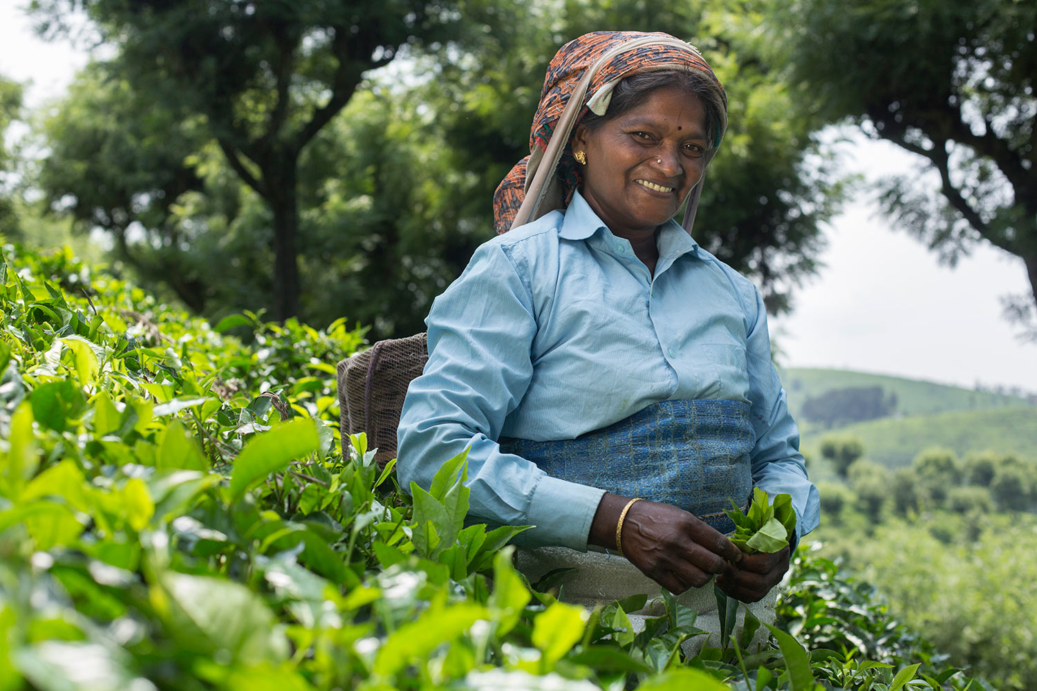 fair_trade_tea_photographer.jpg