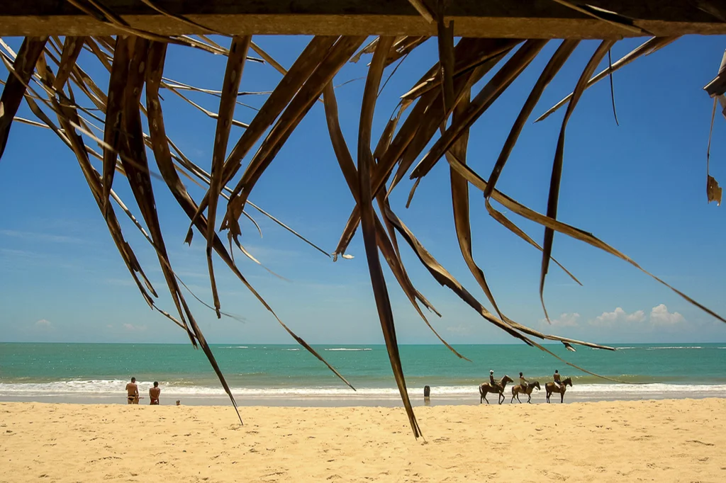 Praia dos Coqueiros, Trancoso, Porto Seguro, Bahia, Brazil, 04/11/2005 © Dosfotos
