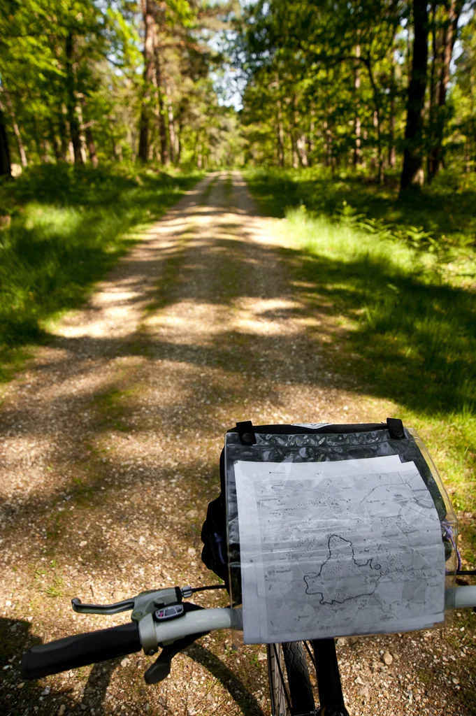 New Forest National Park, Hampshire, UK, May 09