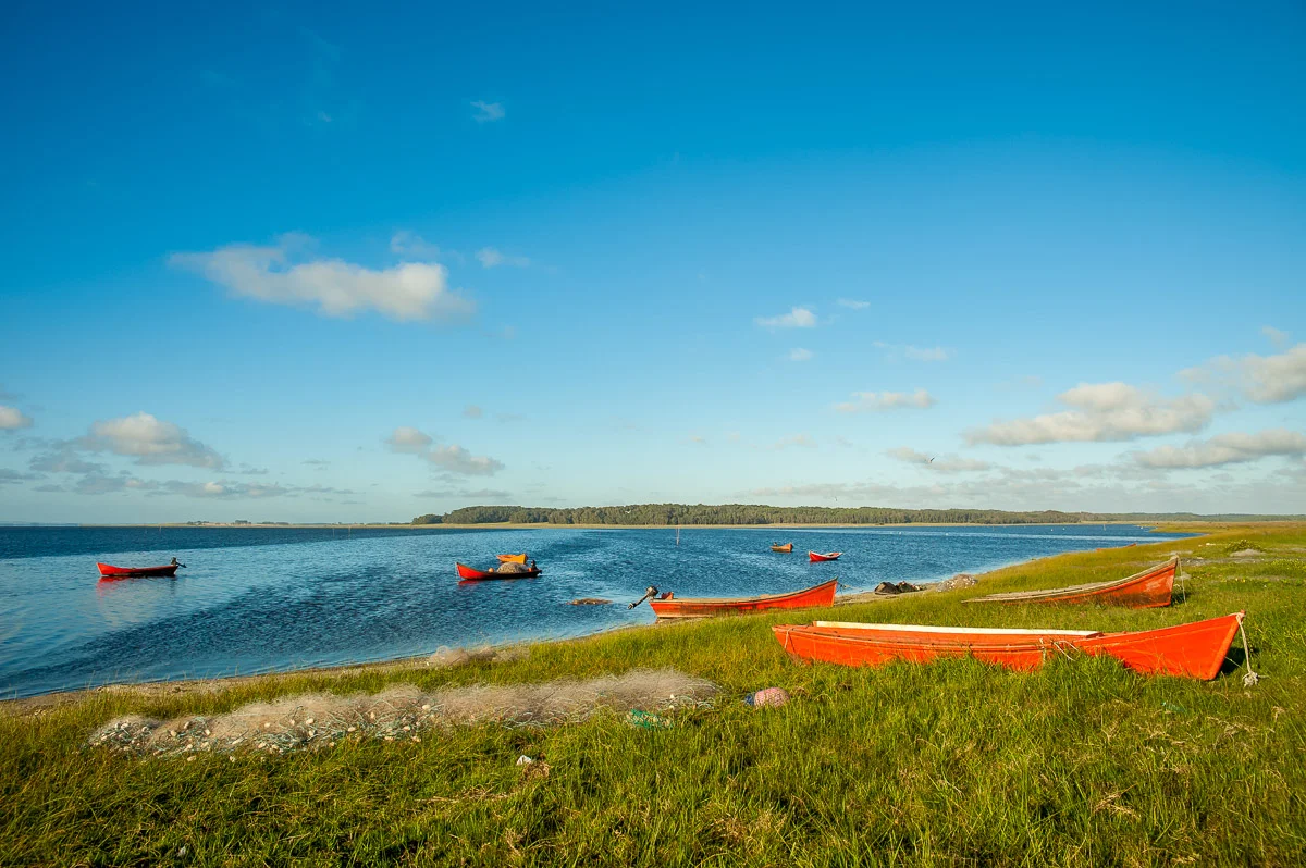 Laguna de Rocha, Uruguay, Dec 2014 © Dosfotos