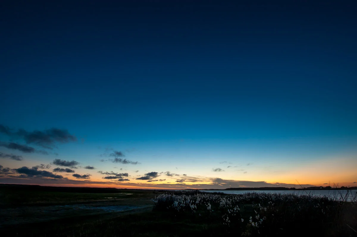 Laguna de Rocha, Uruguay, Dec 2014 © Dosfotos