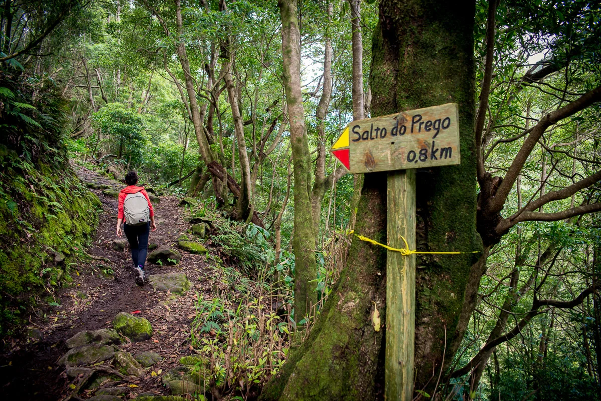 Salto do Prego, Faial da Terra, Sao Miguel, Azores, 25/03/2016 © Dosfotos
