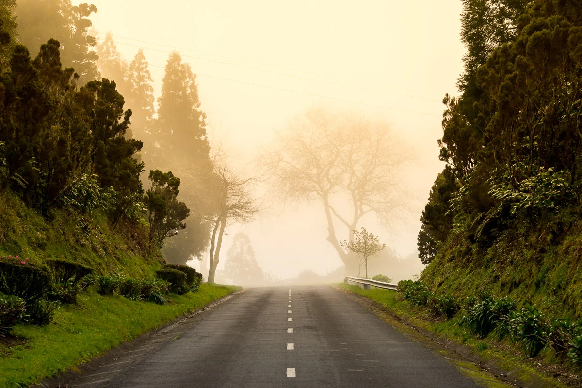 Fog, Sao Miguel, Azores, 25/03/2016 © Dosfotos