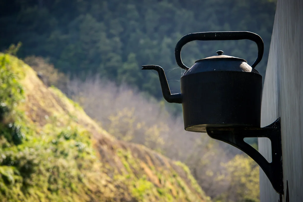 Porto Formoso Tea Plantation, Sao Miguel, Azores, 27/03/2016 © Dosfotos