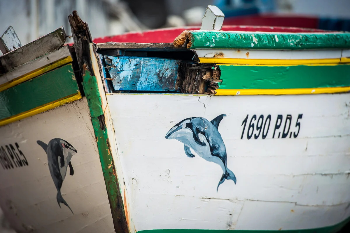 Fishermen boats in Ponta do Arnel, Sao Miguel, Azores, 27/03/2016 © Dosfotos