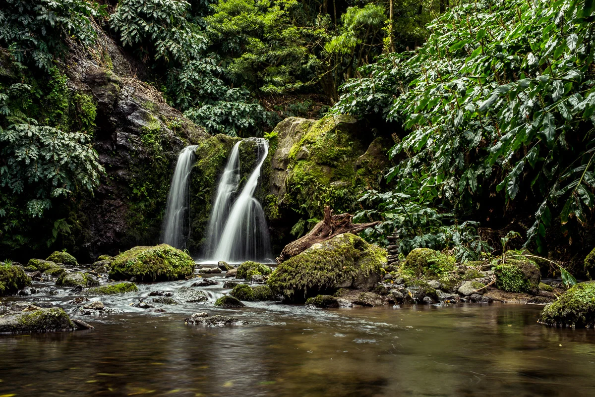 Ribeira dos Caldeiroes, Achada, Sao Miguel, Azores, 28/03/2016 © Dosfotos