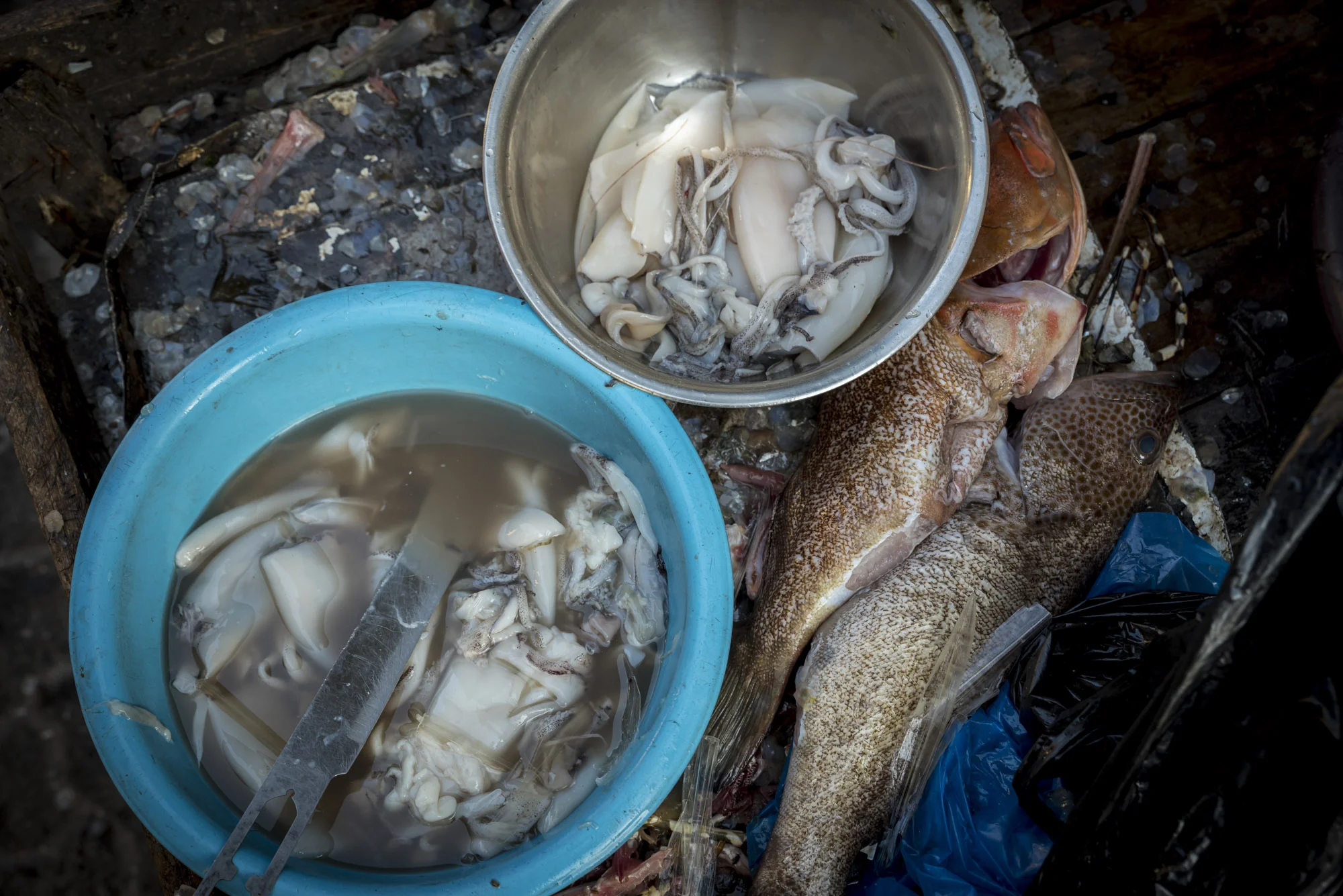 Fresh fish at a restaurant's back kitchen in the Fish Market, Maputo, Mozambique, 21/08/2016 © Dosfotos
