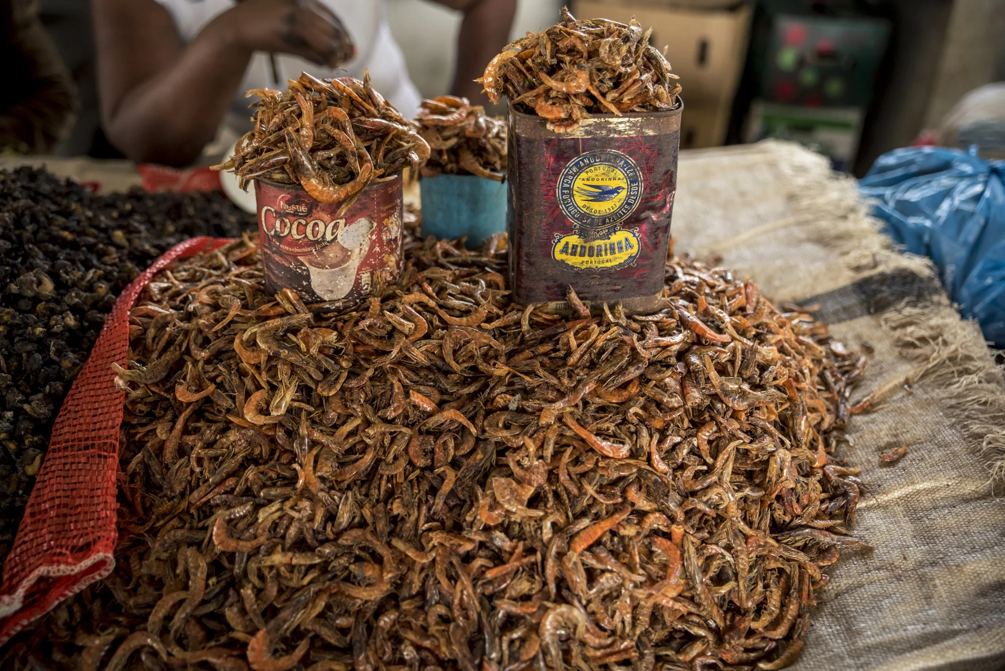 Prawns for sale at the Municipal Market, Vilanculos, Bazaruto Archipelago, Mozambique, 22/08/2016 © Dosfotos