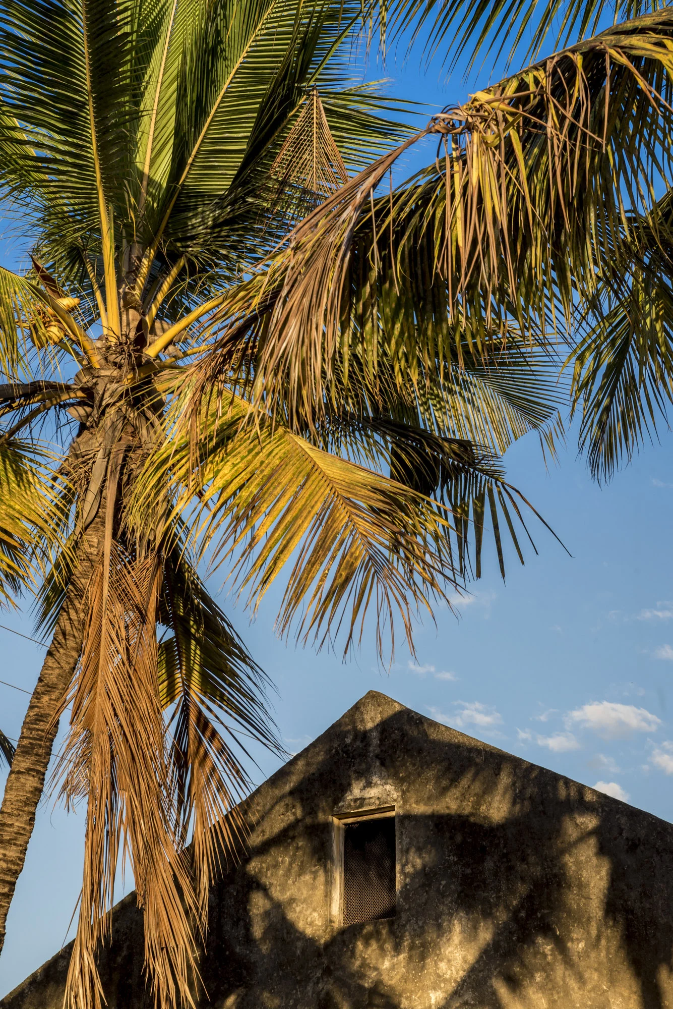 Ibo Island, Quirimbas National Park, Cabo Delgado, Mozambique, 31/08/2016 © Dosfotos