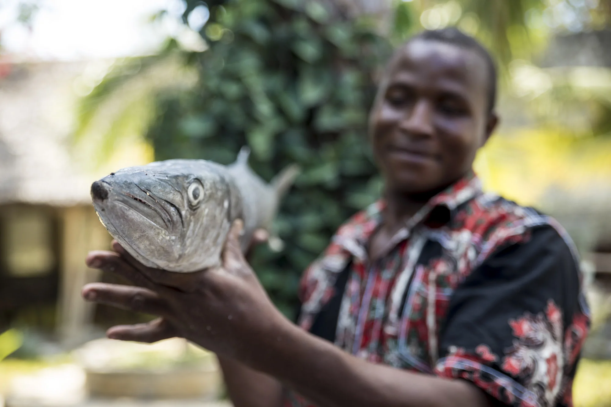 Fresh fish in Ibo Island, Quirimbas National Park, Cabo Delgado, Mozambique, 31/08/2016 © Dosfotos