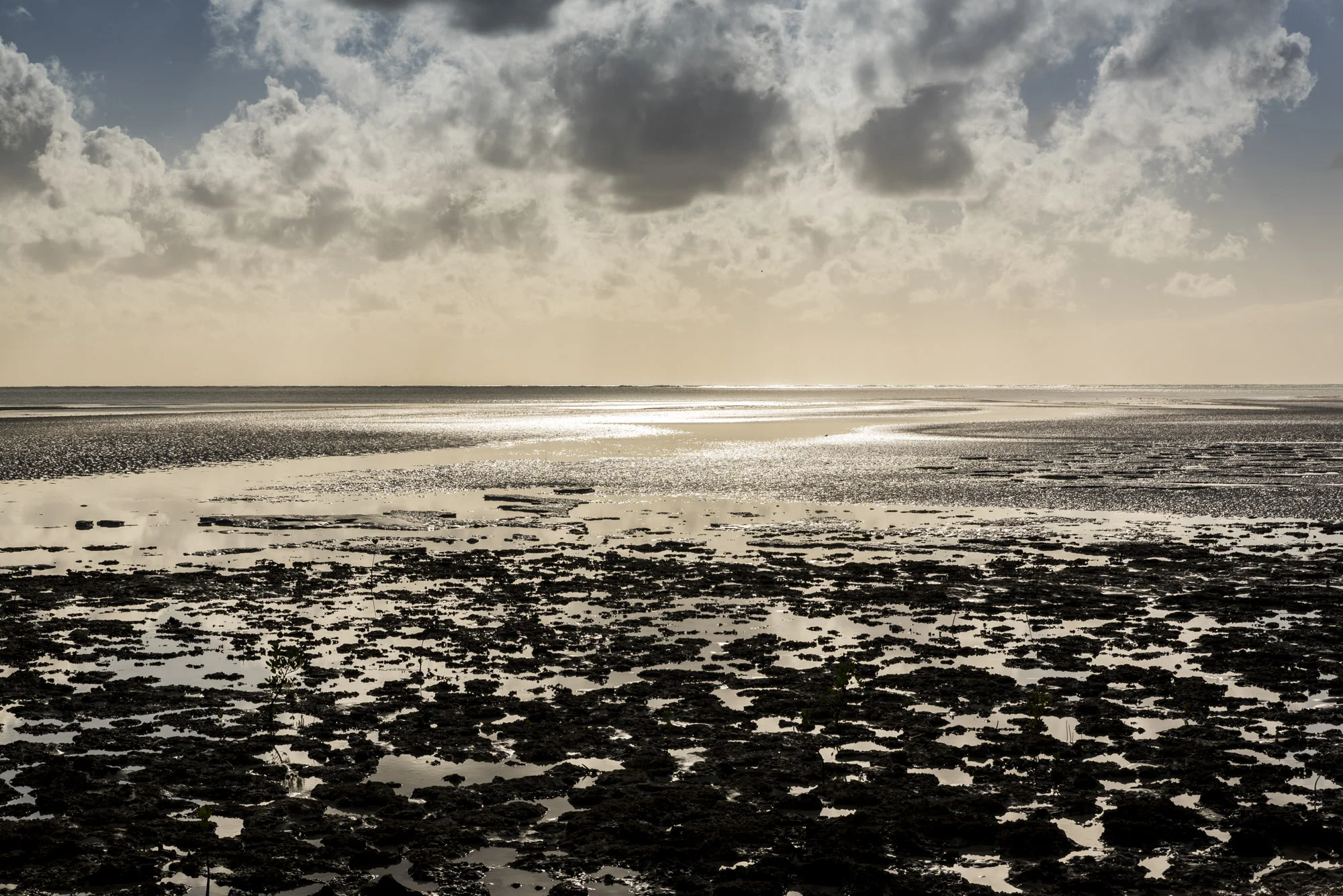 Low tide at Quirimba Island, Quirimbas National Park, Cabo Delgado, Mozambique, 01/09/2016 © Dosfotos