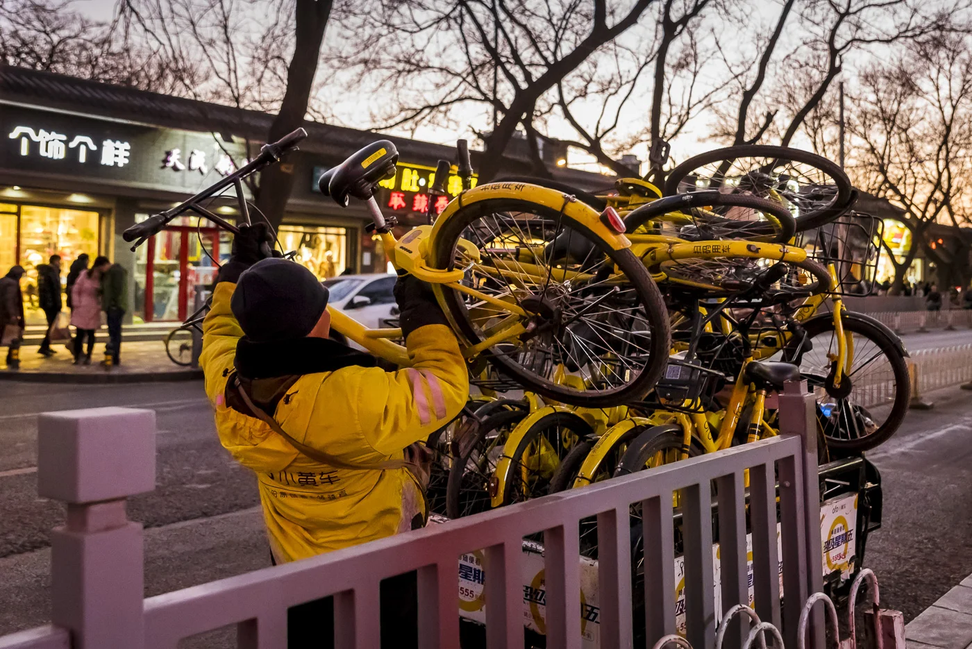 Man collecting rental bicycles in Beijing, China © Dosfotos