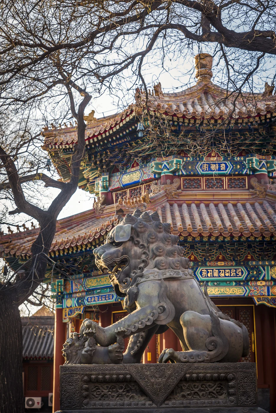 Chinese Guardian Lion at Lama Temple, Dongcheng District, Beijing, China © Dosfotos