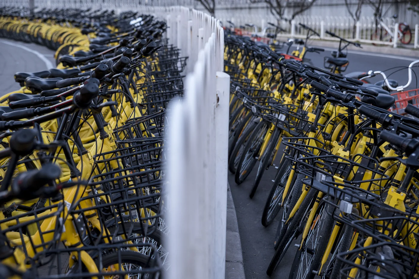 Row of bicycles for hire in Beijing, China © Dosfotos