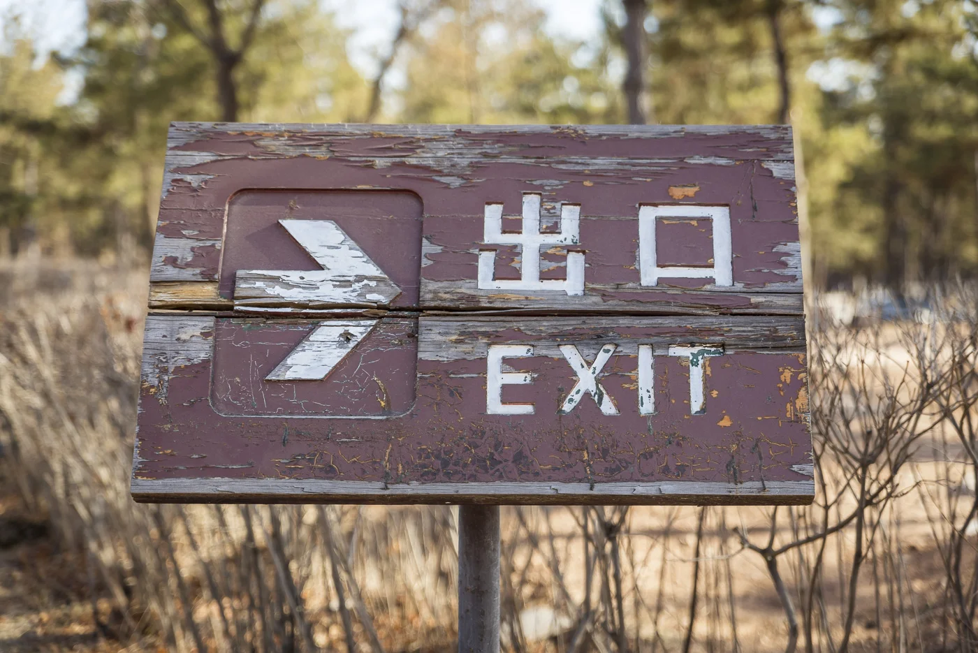 Exit sign, Yungang Grottoes, ancient Chinese Buddhist temple grottoes near Datong, China © Dosfotos