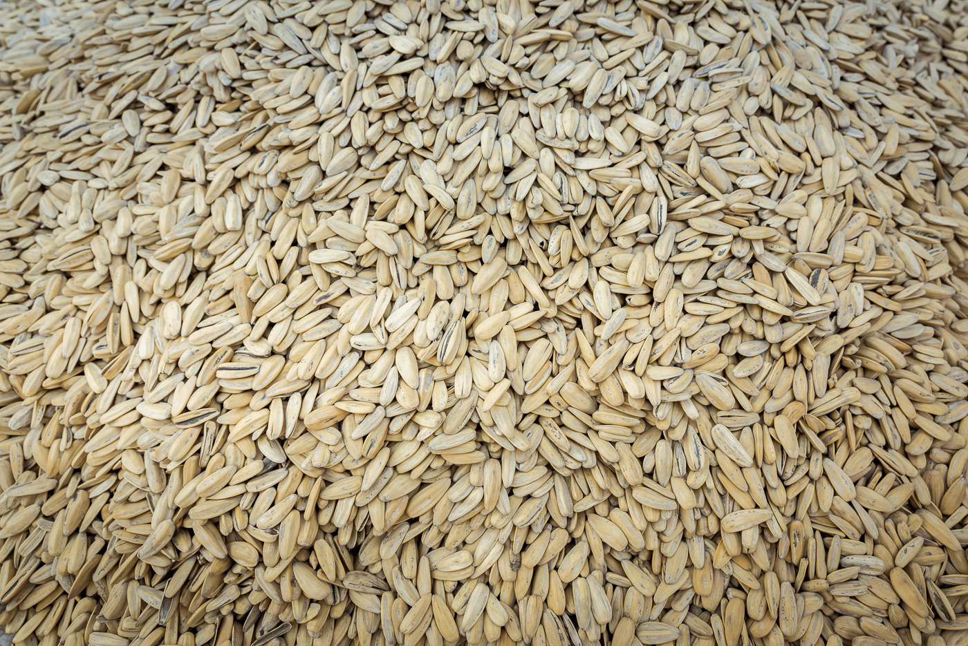 Sunflower seeds for sale in a street market in Datong, China © Dosfotos