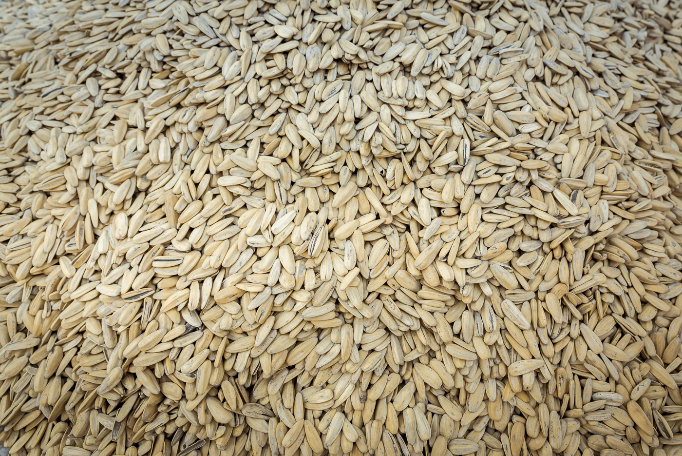 Sunflower seeds for sale in a street market in Datong, China © Dosfotos