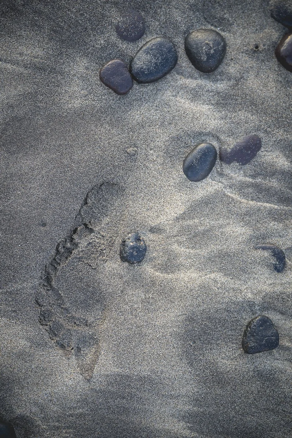 DOS120320.jpg