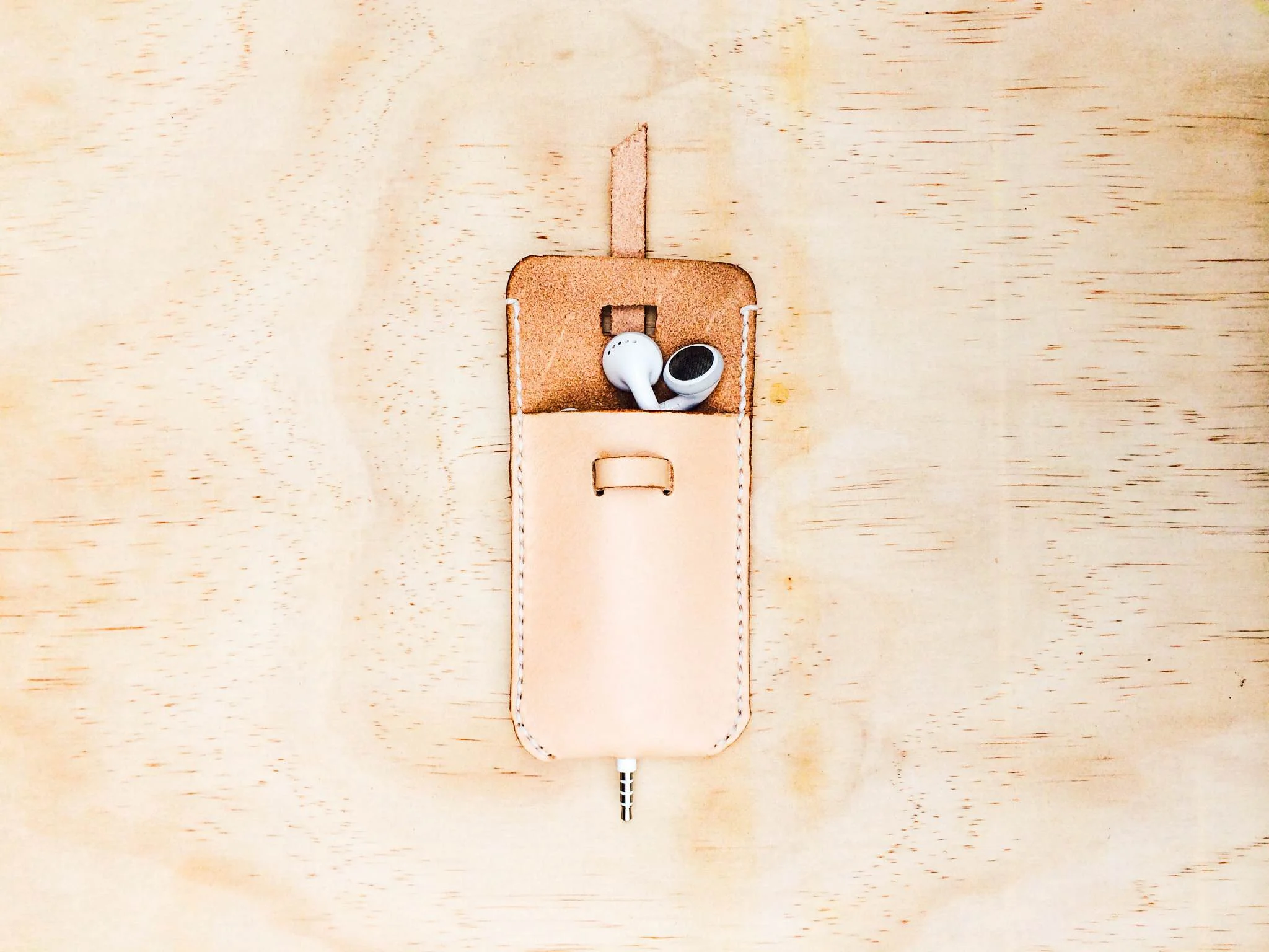 Earphone enclose.jpg