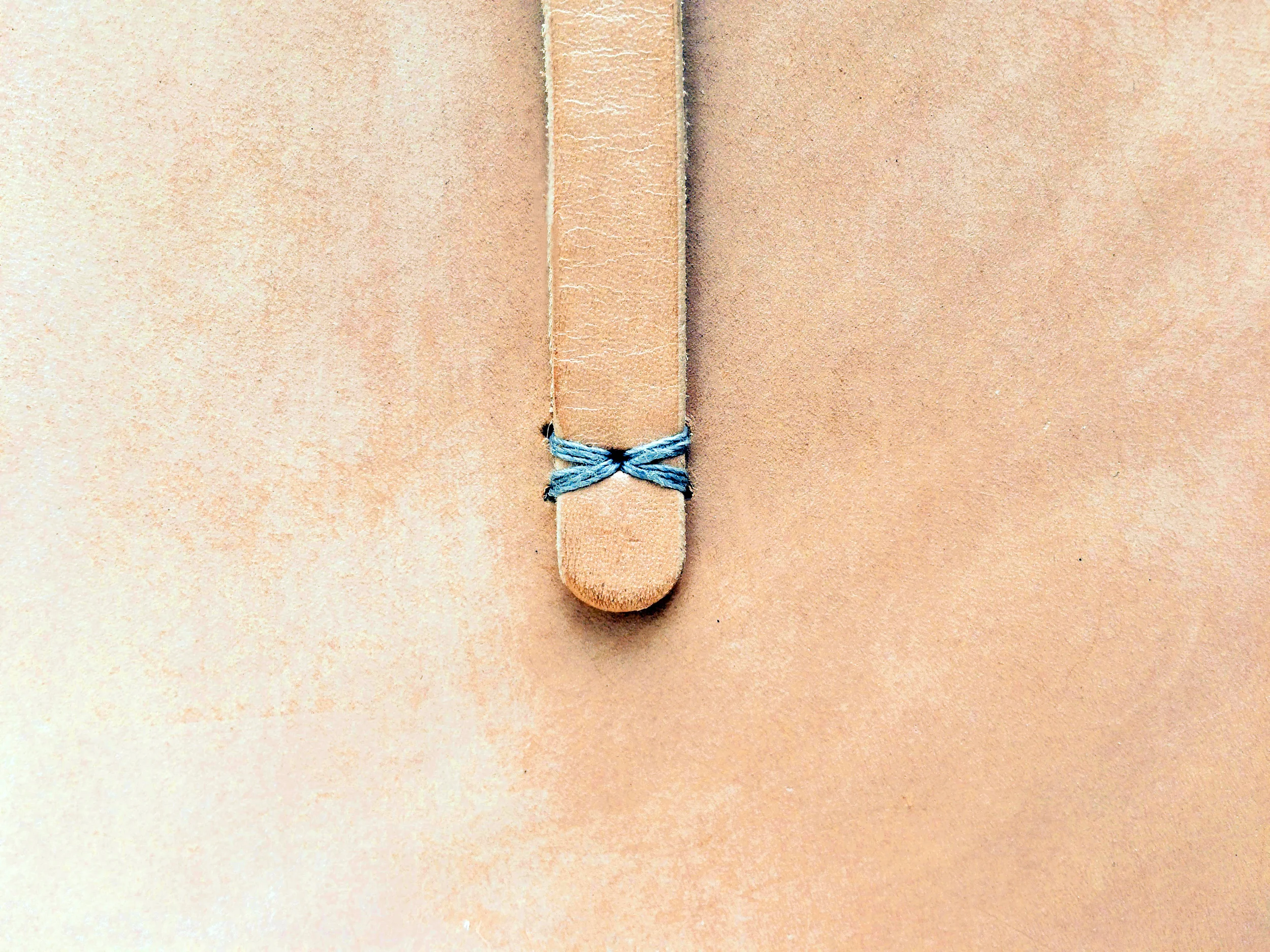 Back stitching.jpg