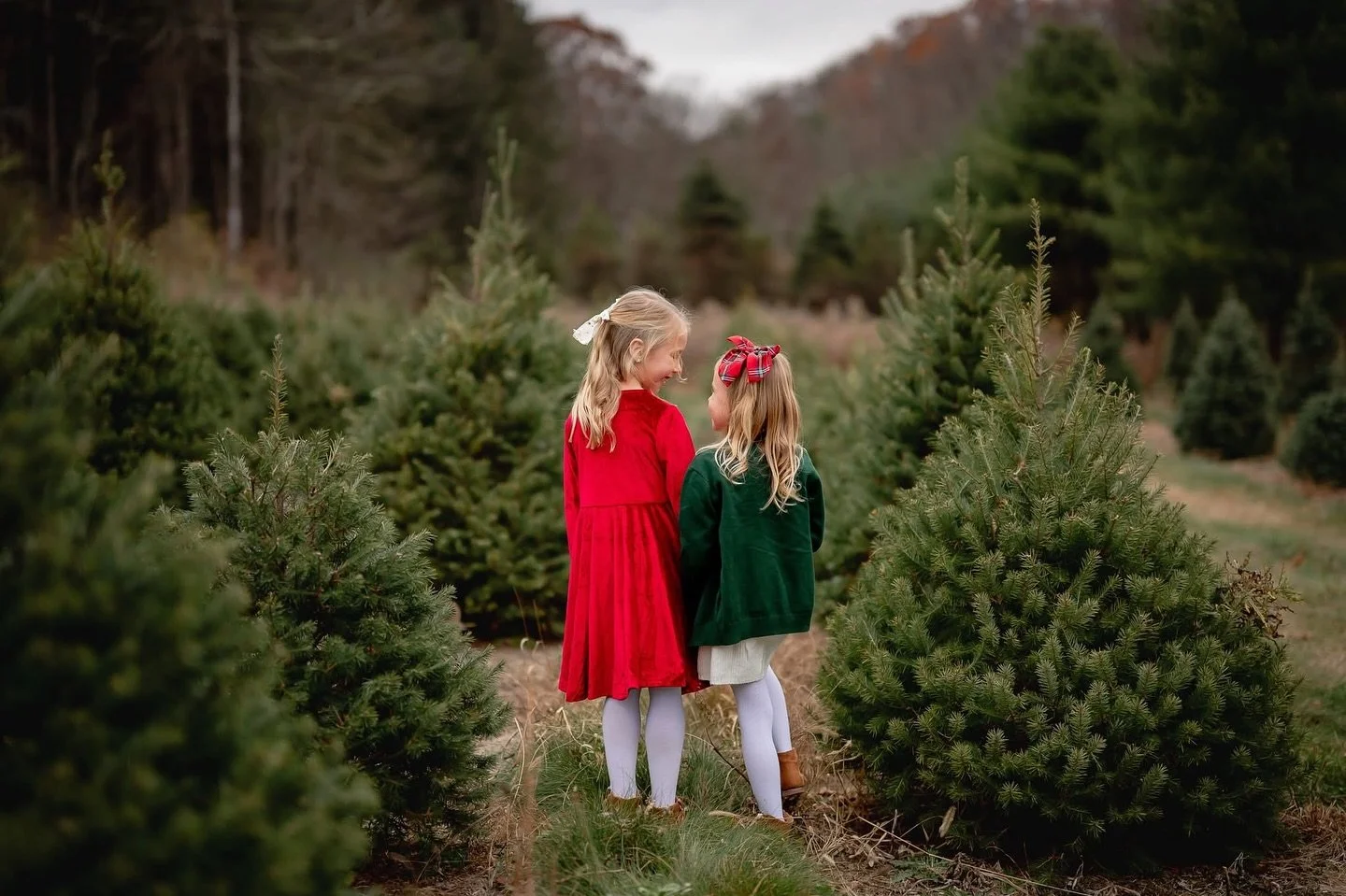 Studio and tree farm minis kicked off today, and I&rsquo;m officially in the holiday spirit from now until Christmas. 🌲 More previews coming your way!